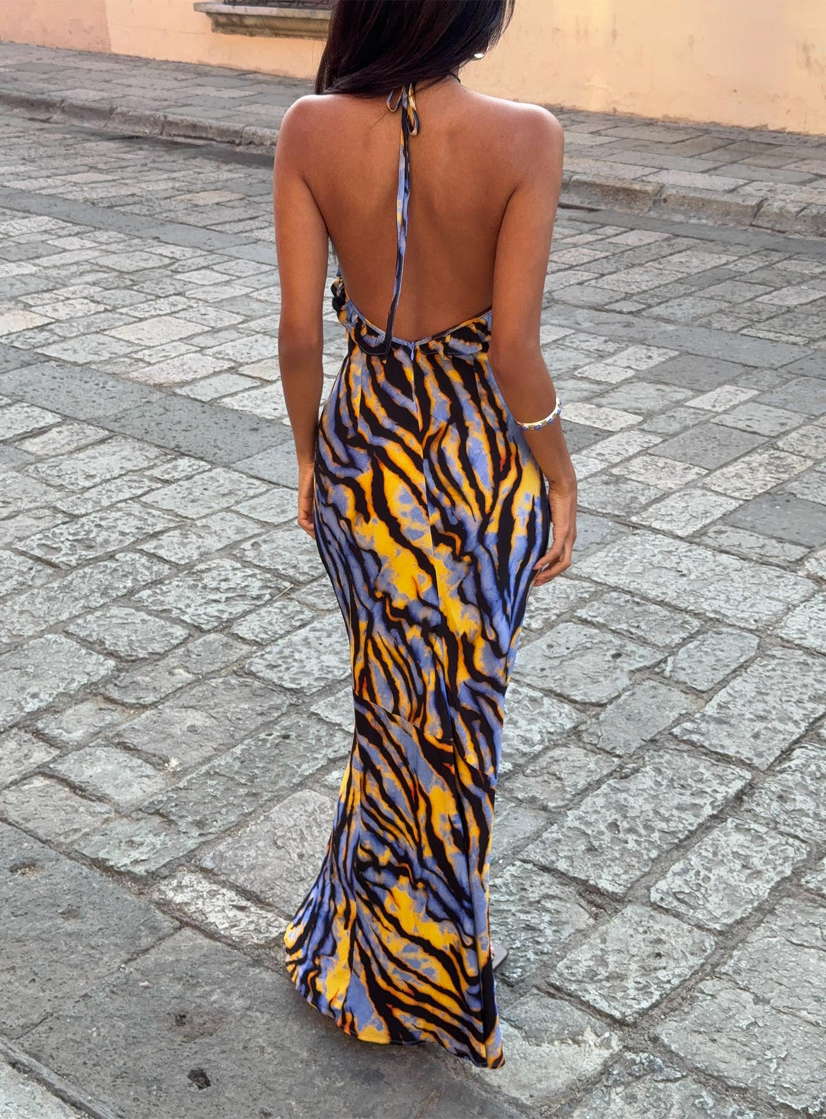 Virginia Beach Backless Maxi Dress Blue Zebra