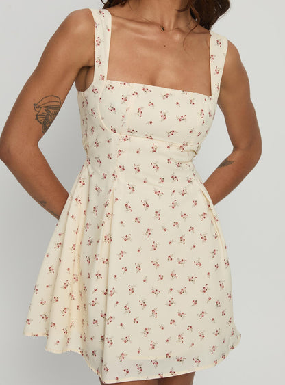 Xanthus Mini Dress Yellow Floral